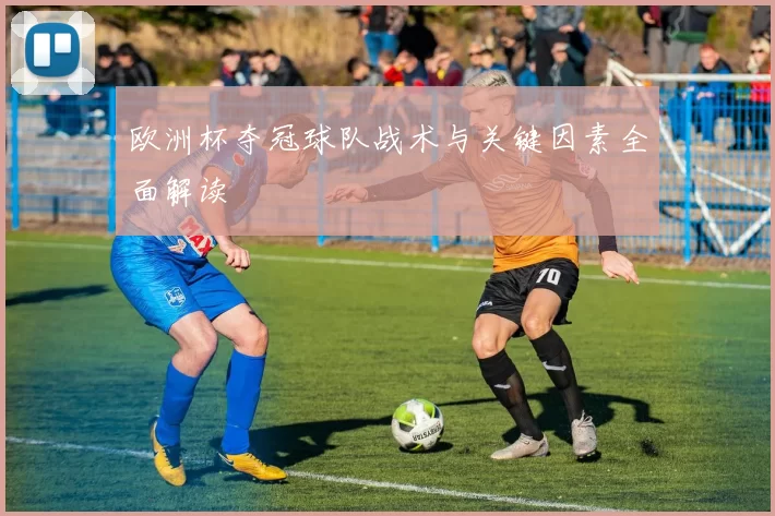 欧洲杯夺冠球队战术与关键因素全面解读