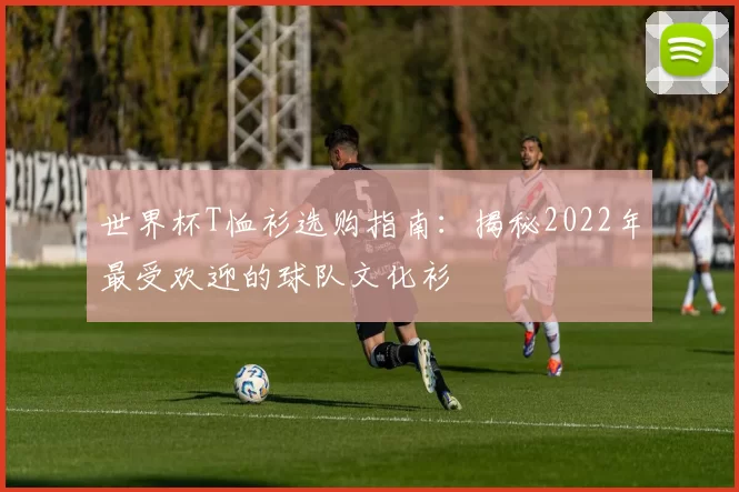 世界杯T恤衫选购指南：揭秘2022年最受欢迎的球队文化衫