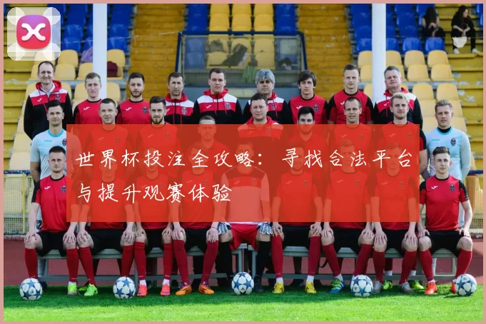 世界杯投注全攻略：寻找合法平台与提升观赛体验