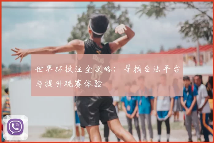 世界杯投注全攻略:寻找合法平台与提升观赛体验