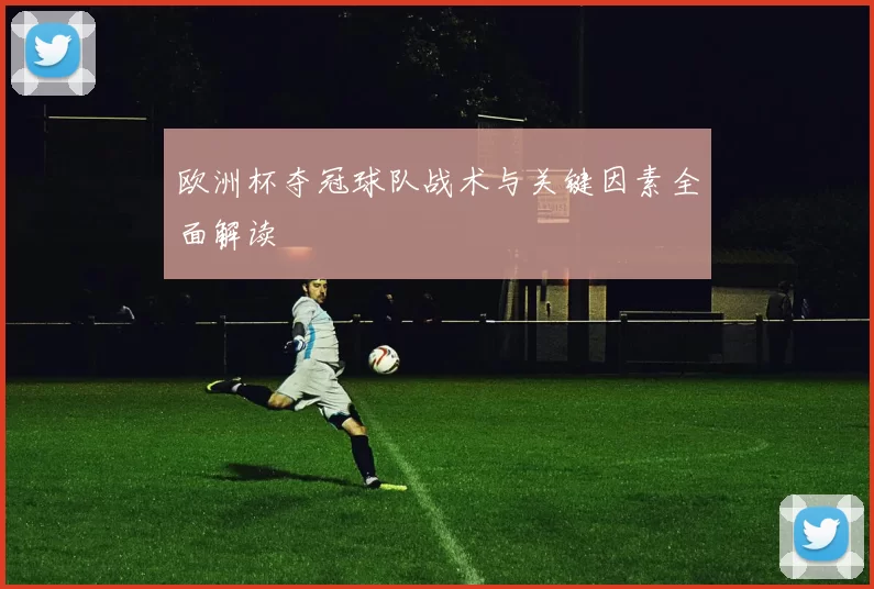 欧洲杯夺冠球队战术与关键因素全面解读