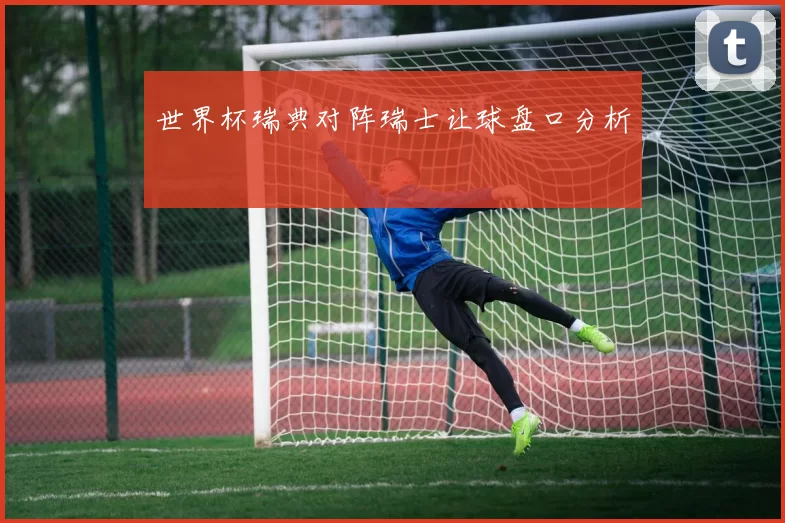 世界杯瑞典对阵瑞士让球盘口分析