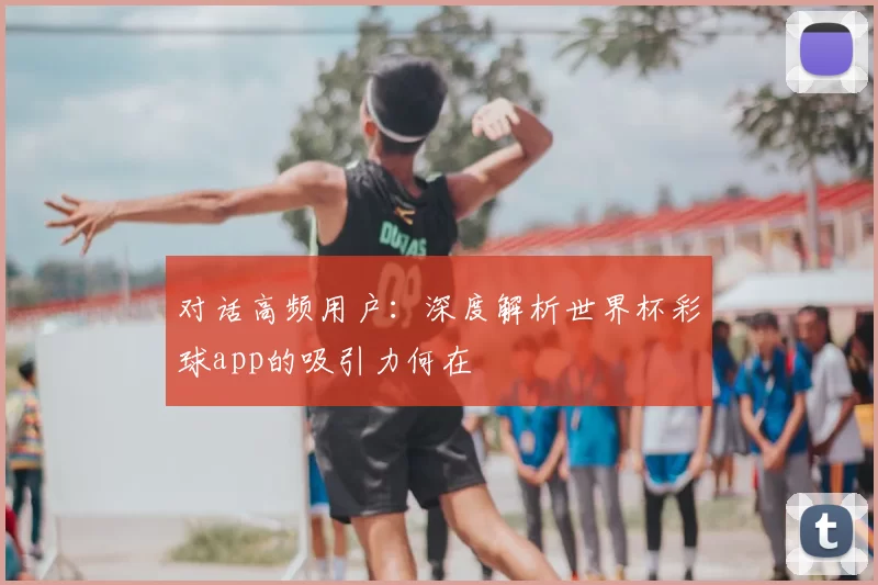 对话高频用户：深度解析世界杯彩球app的吸引力何在
