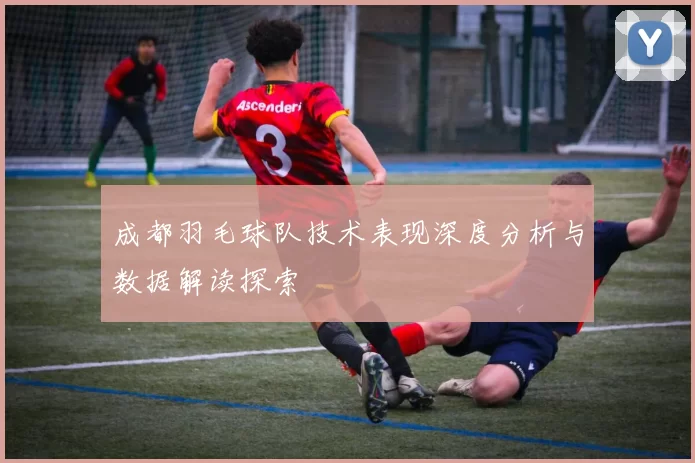 成都羽毛球队技术表现深度分析与数据解读探索